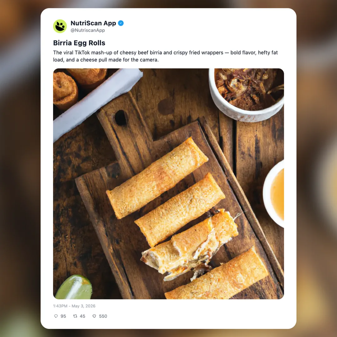 birria-egg-rolls social card 1