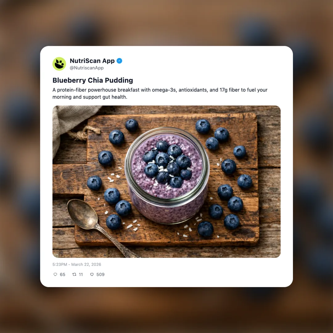 blueberry-chia-pudding social card 1