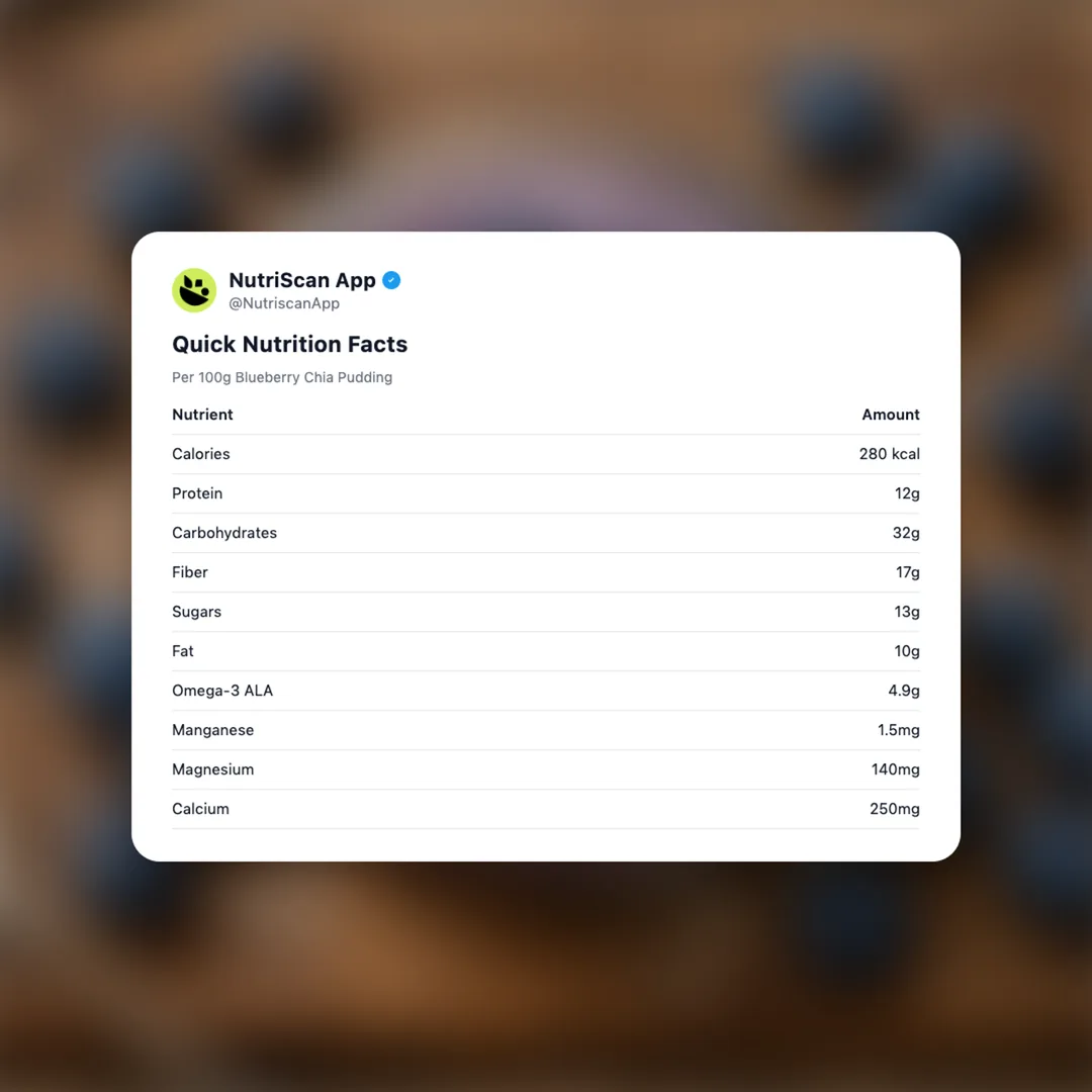 blueberry-chia-pudding social card 2