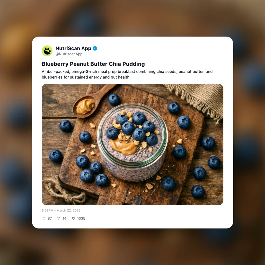 blueberry-peanut-butter-chia-pudding social card 1