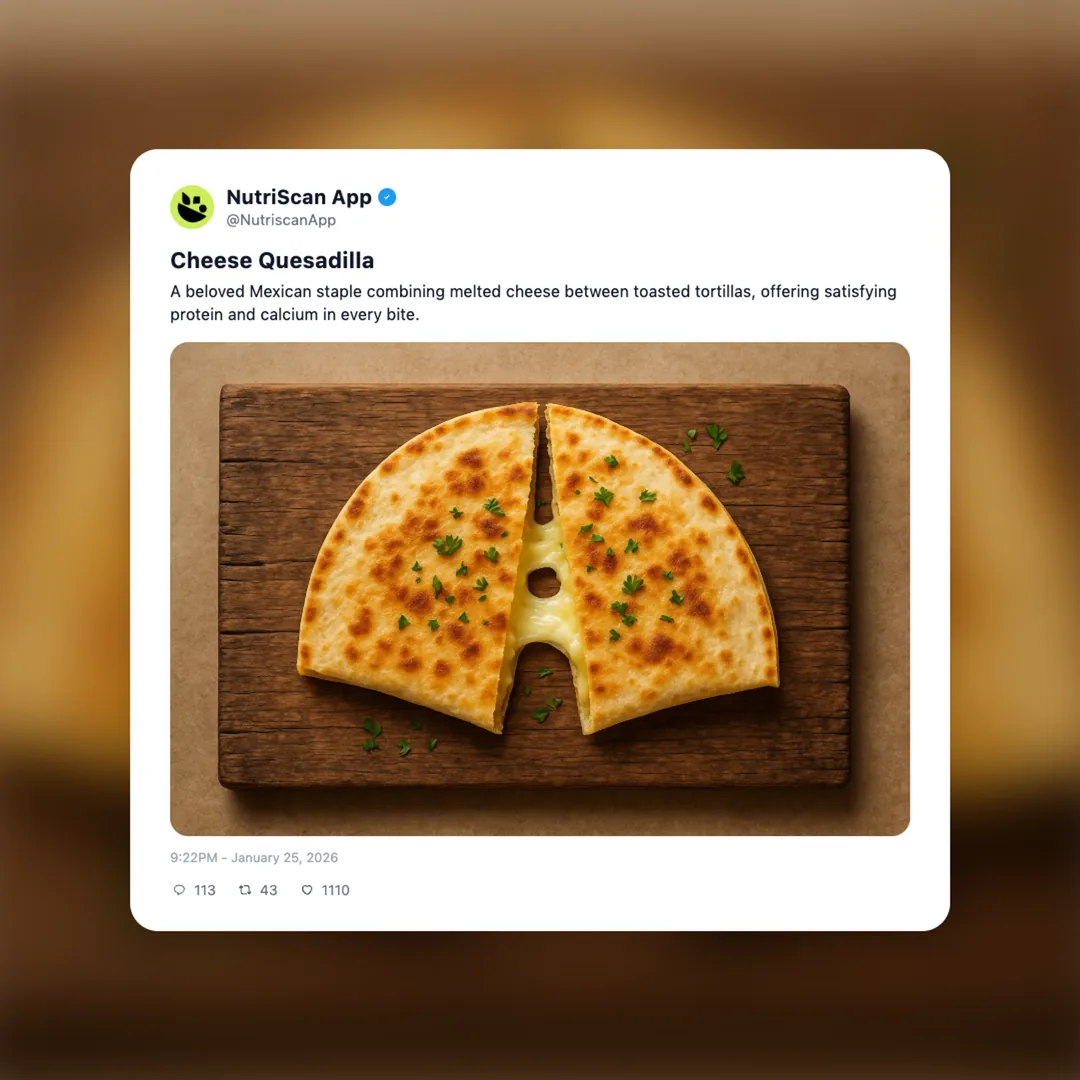 cheese-quesadilla social card 1