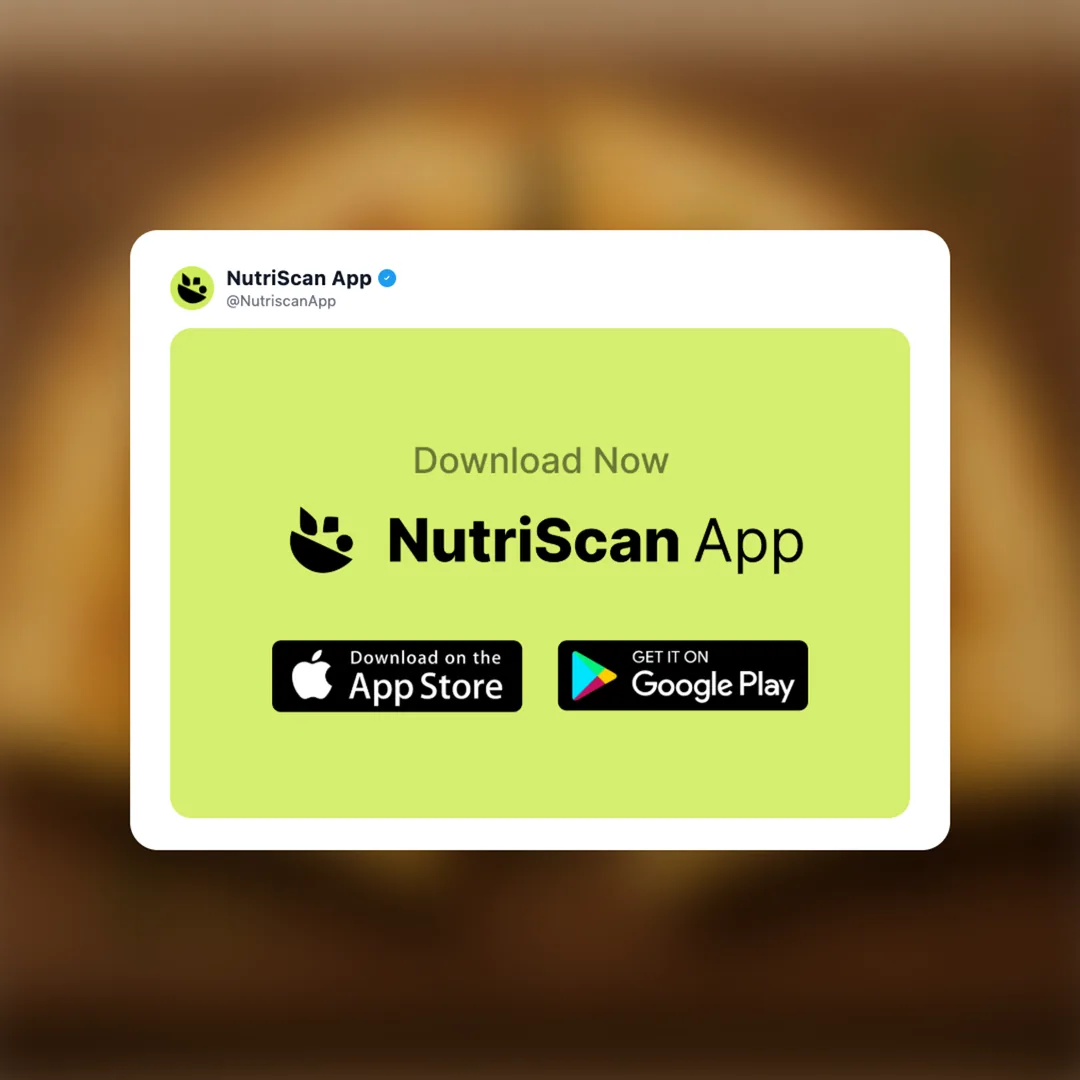 cheese-quesadilla social card 7