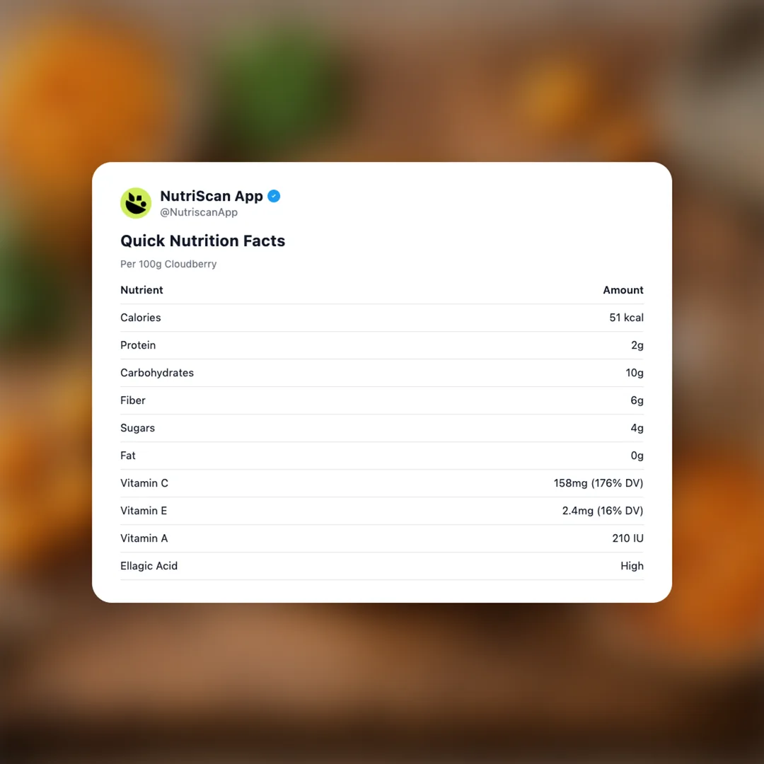 cloudberry-nordic social card 2