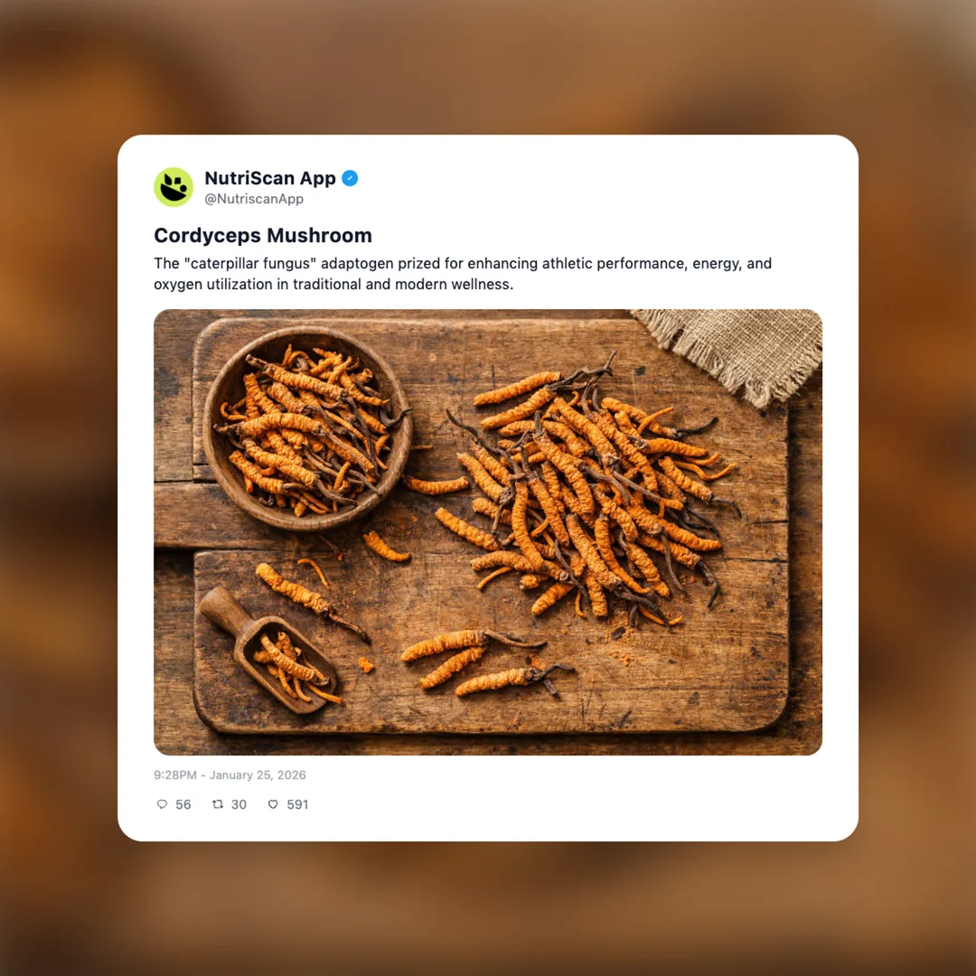 cordyceps-mushroom social card 1