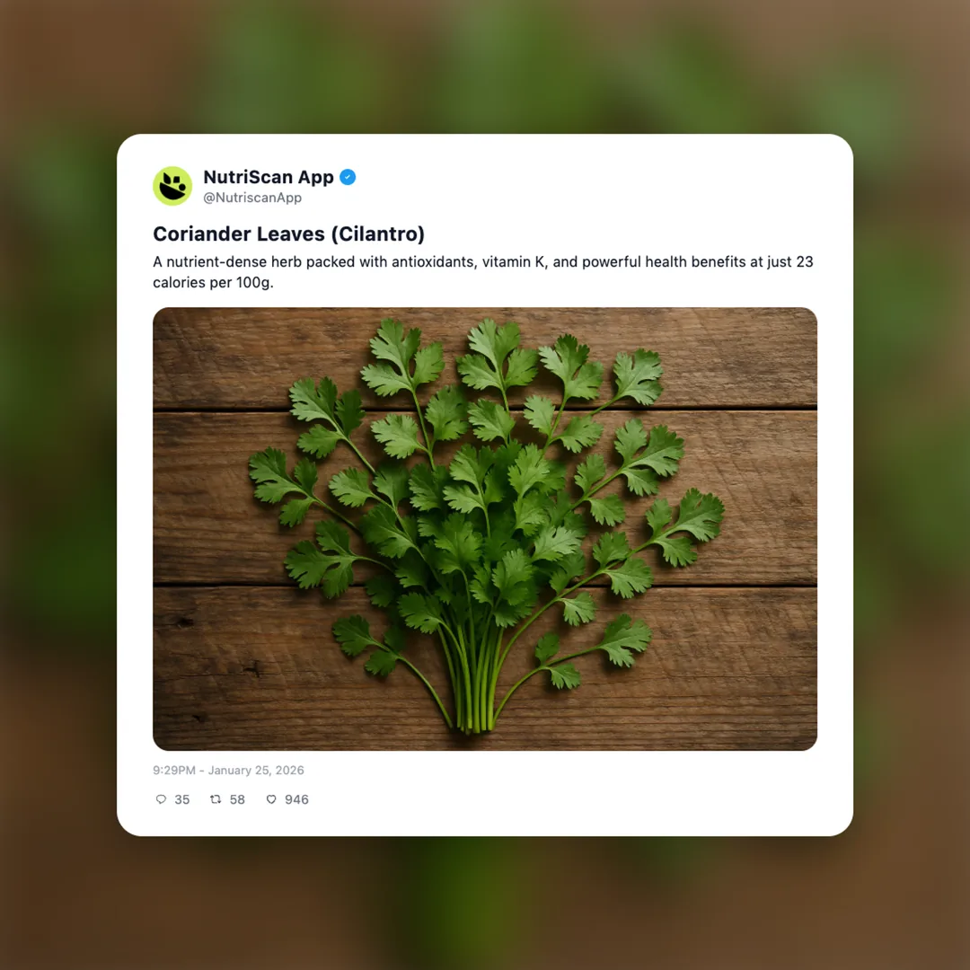 coriander-leaves social card 1