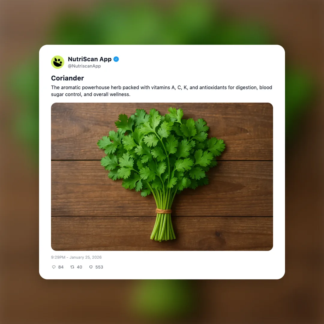 coriander social card 1