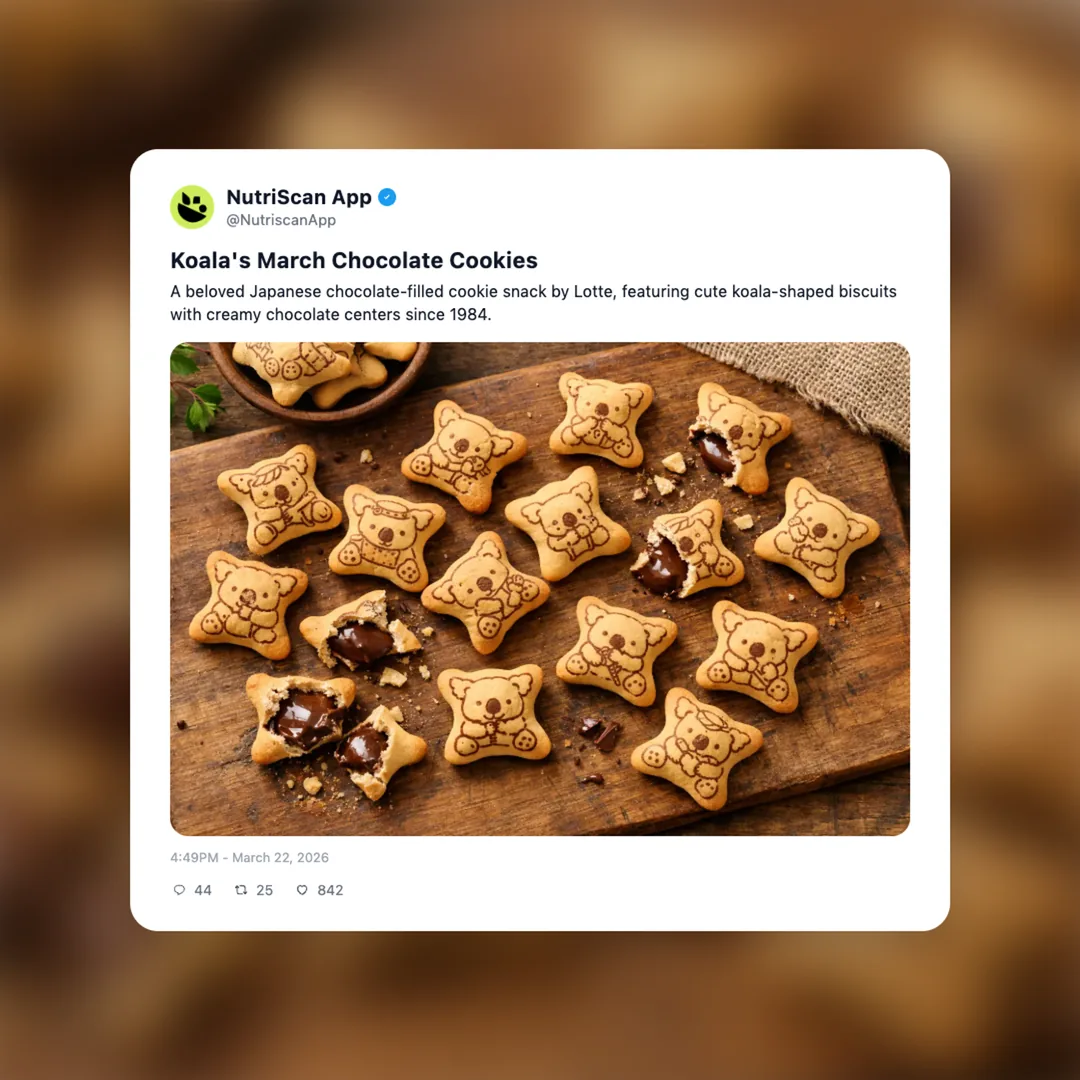 koala-march-chocolate-cookies social card 1