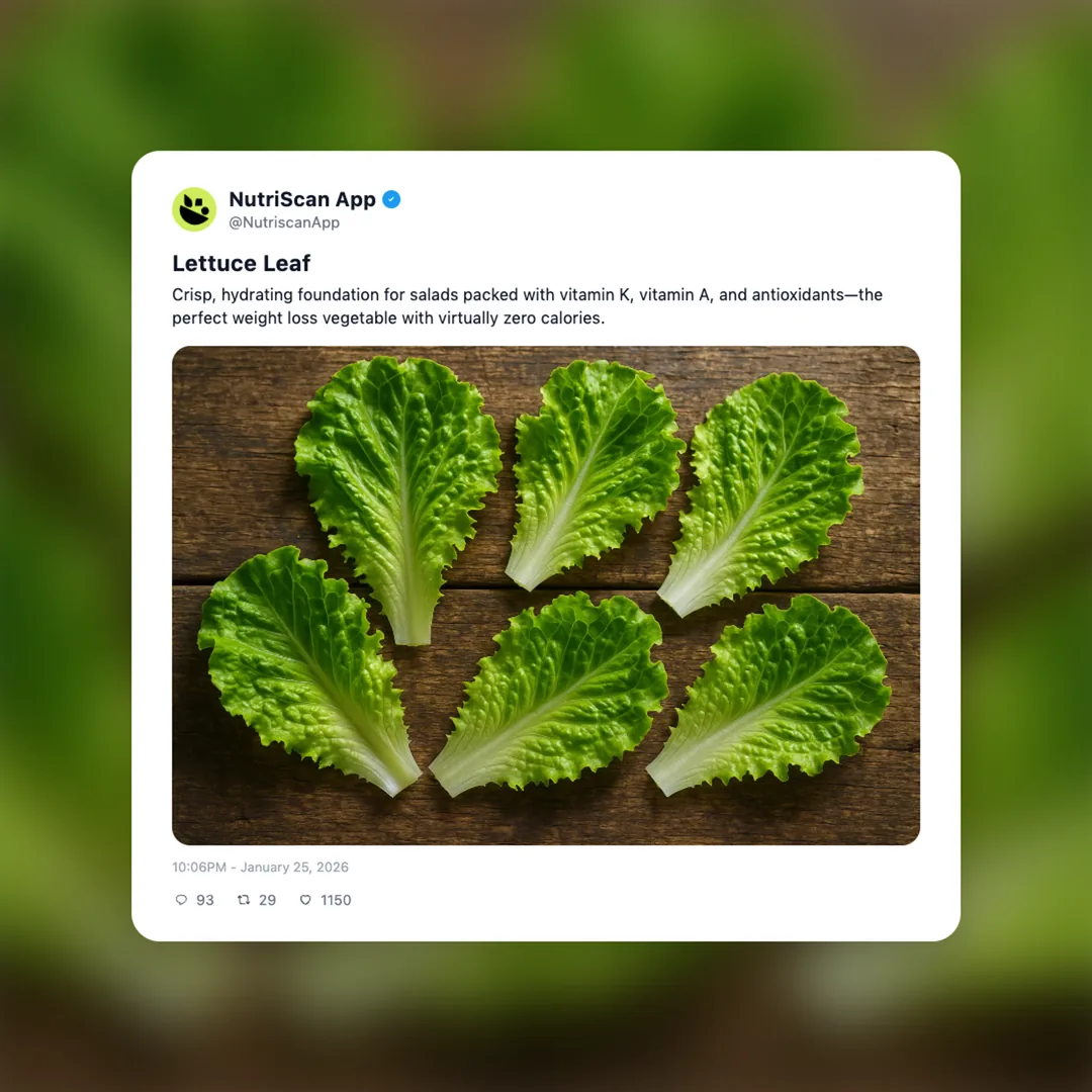 lettuce-leaf social card 1