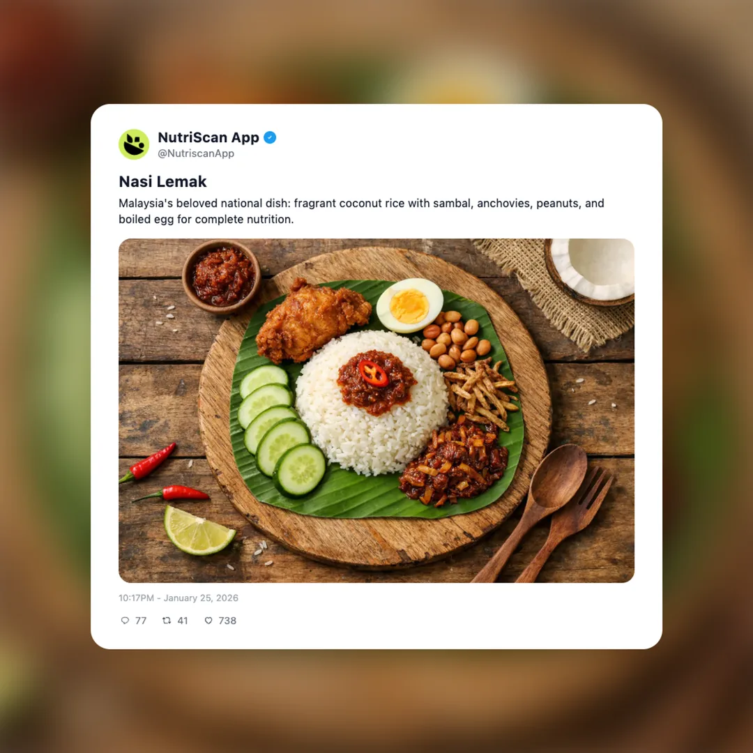 nasi-lemak social card 1