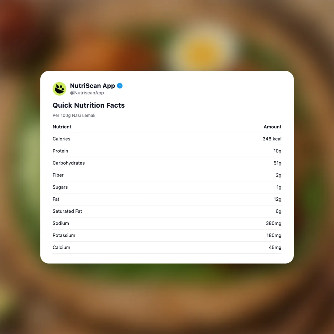 nasi-lemak social card 2