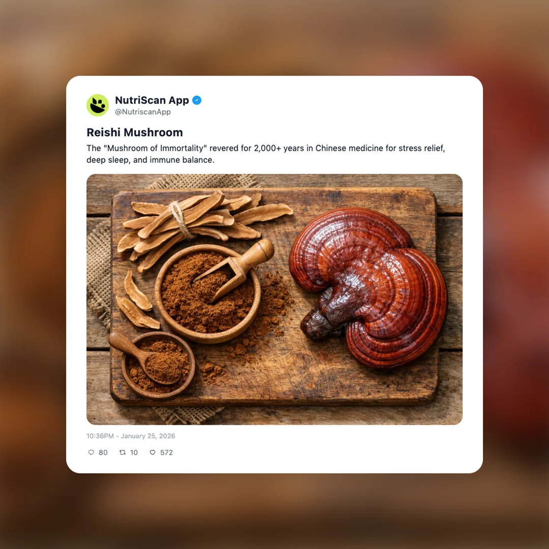 reishi-mushroom social card 1