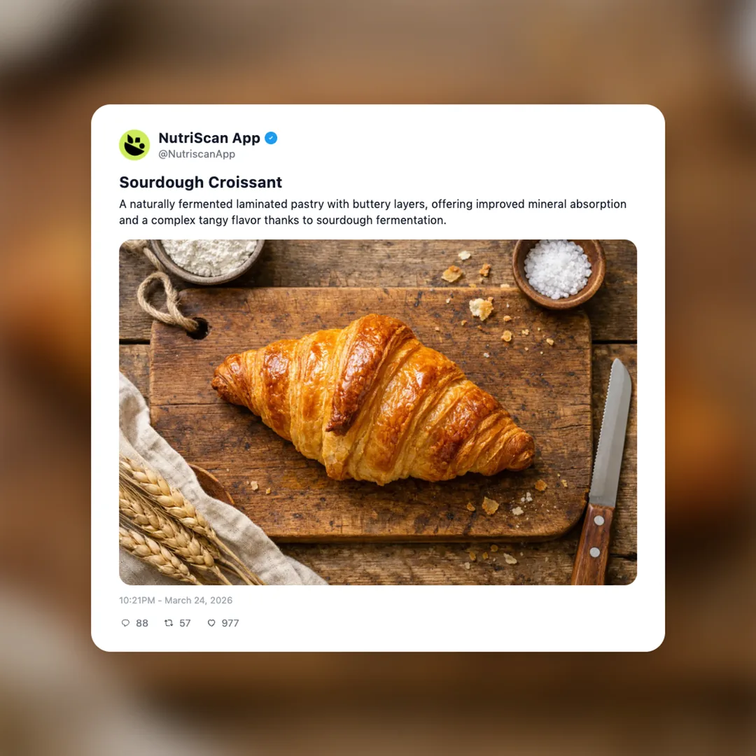 sourdough-croissant social card 1