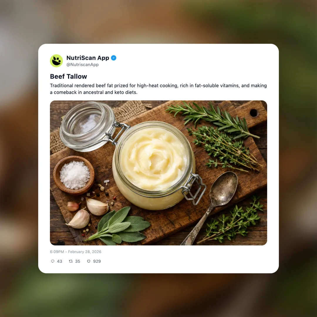 tallow social card 1