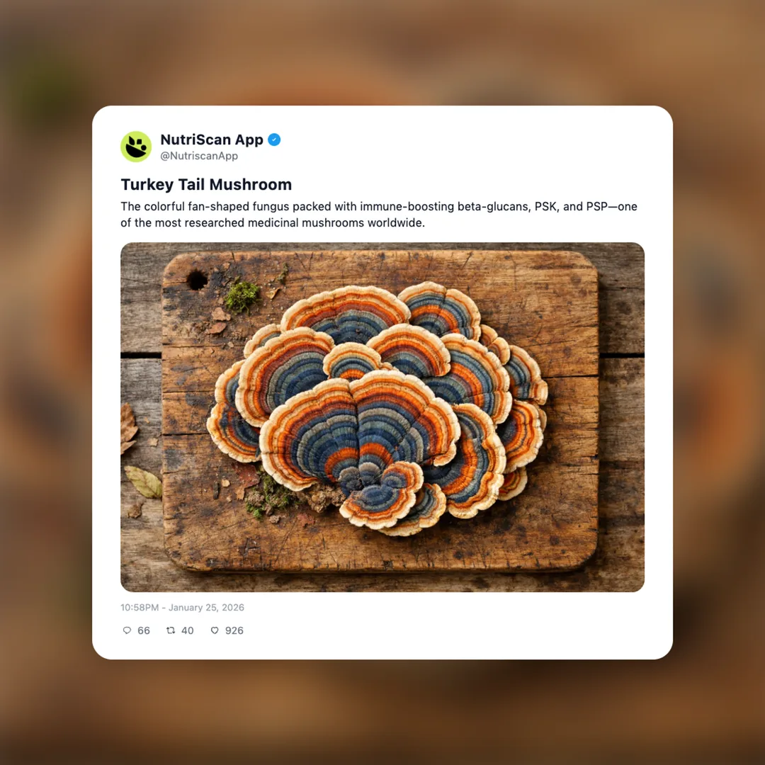 turkey-tail-mushroom social card 1