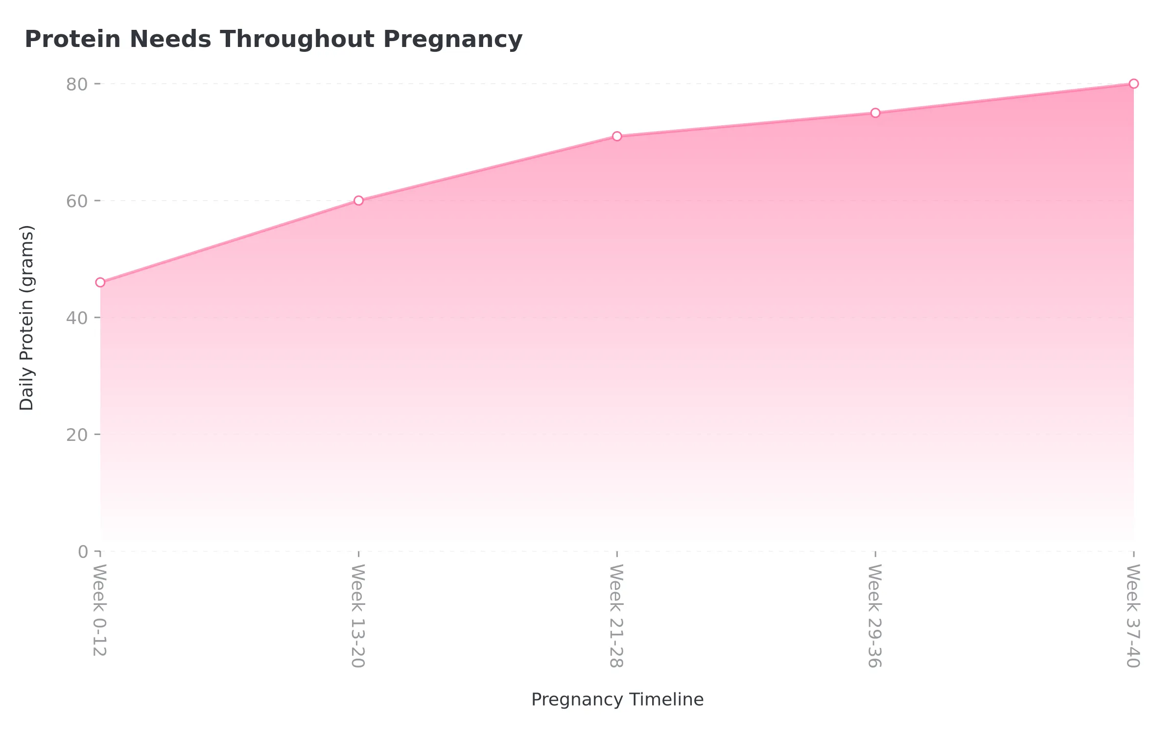 Protein Needs Throughout Pregnancy Timeline