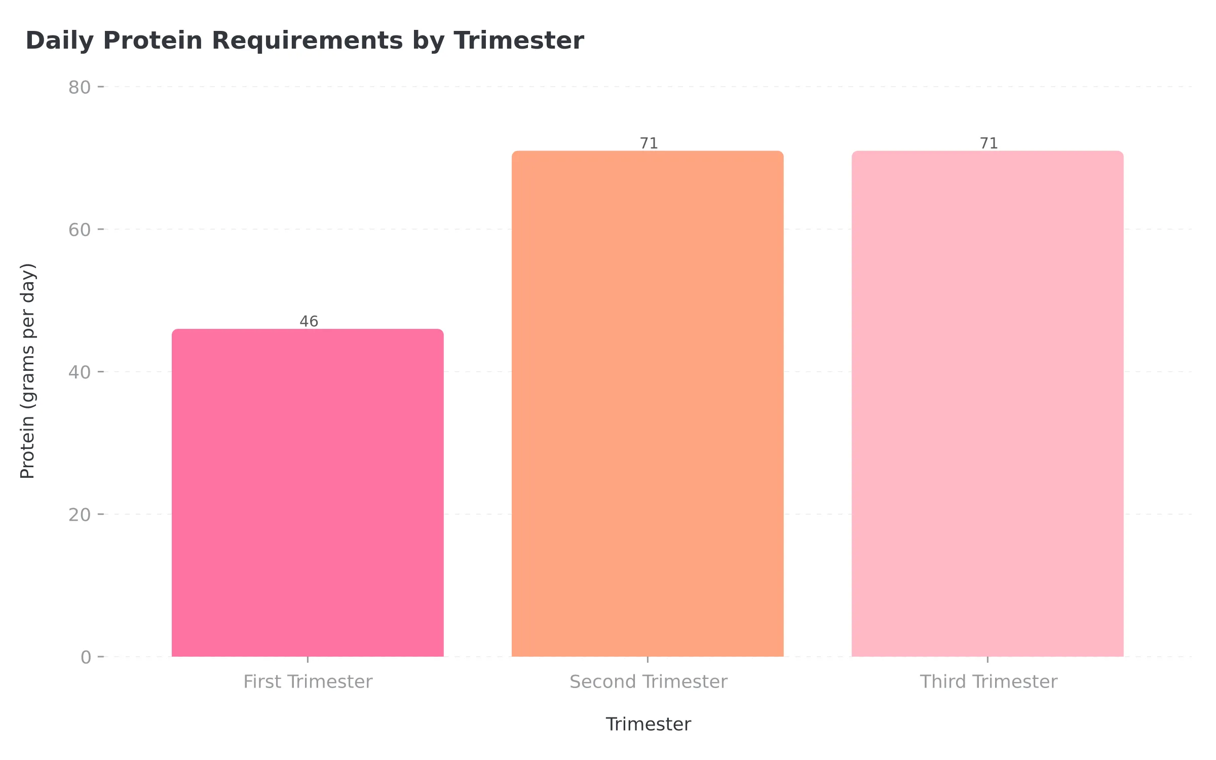 Daily Protein Requirements by Trimester