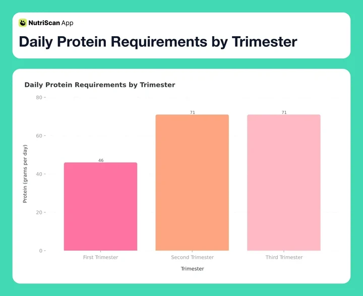 Daily Protein Requirements by Trimester