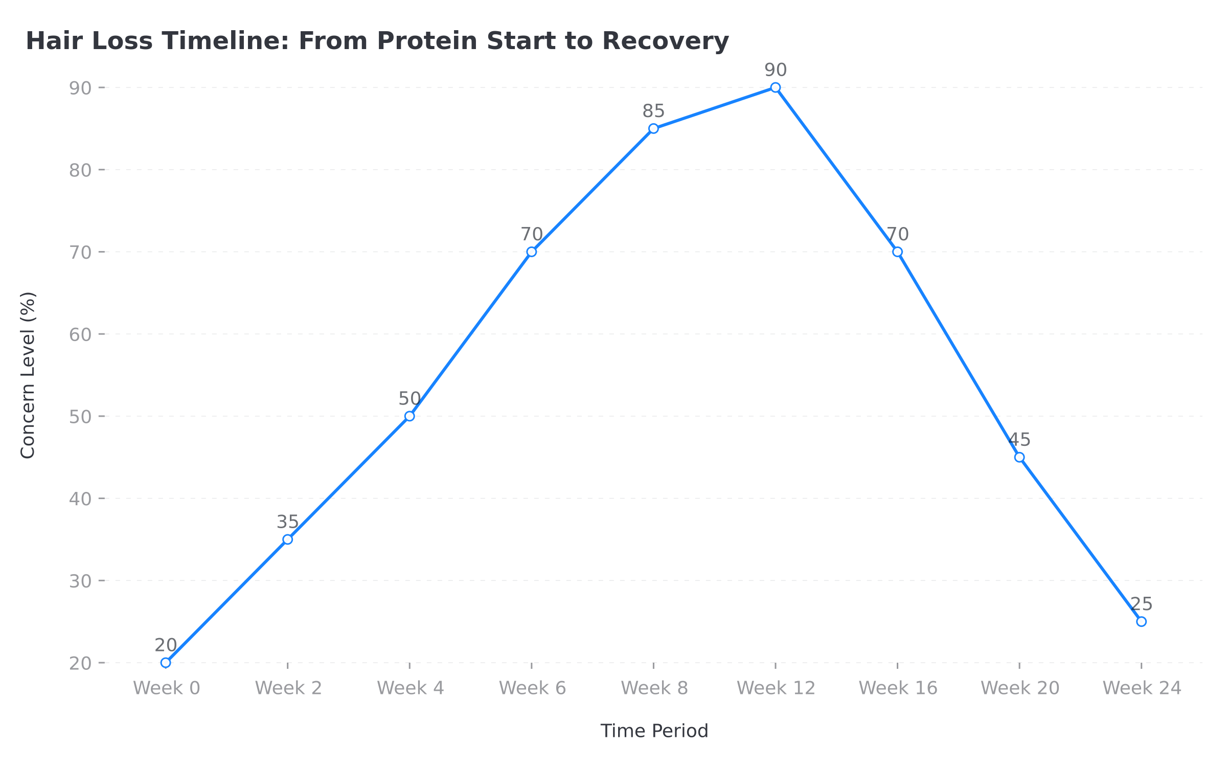 Protein powder hair loss timeline chart showing concern levels over 24 weeks from supplement start to recovery