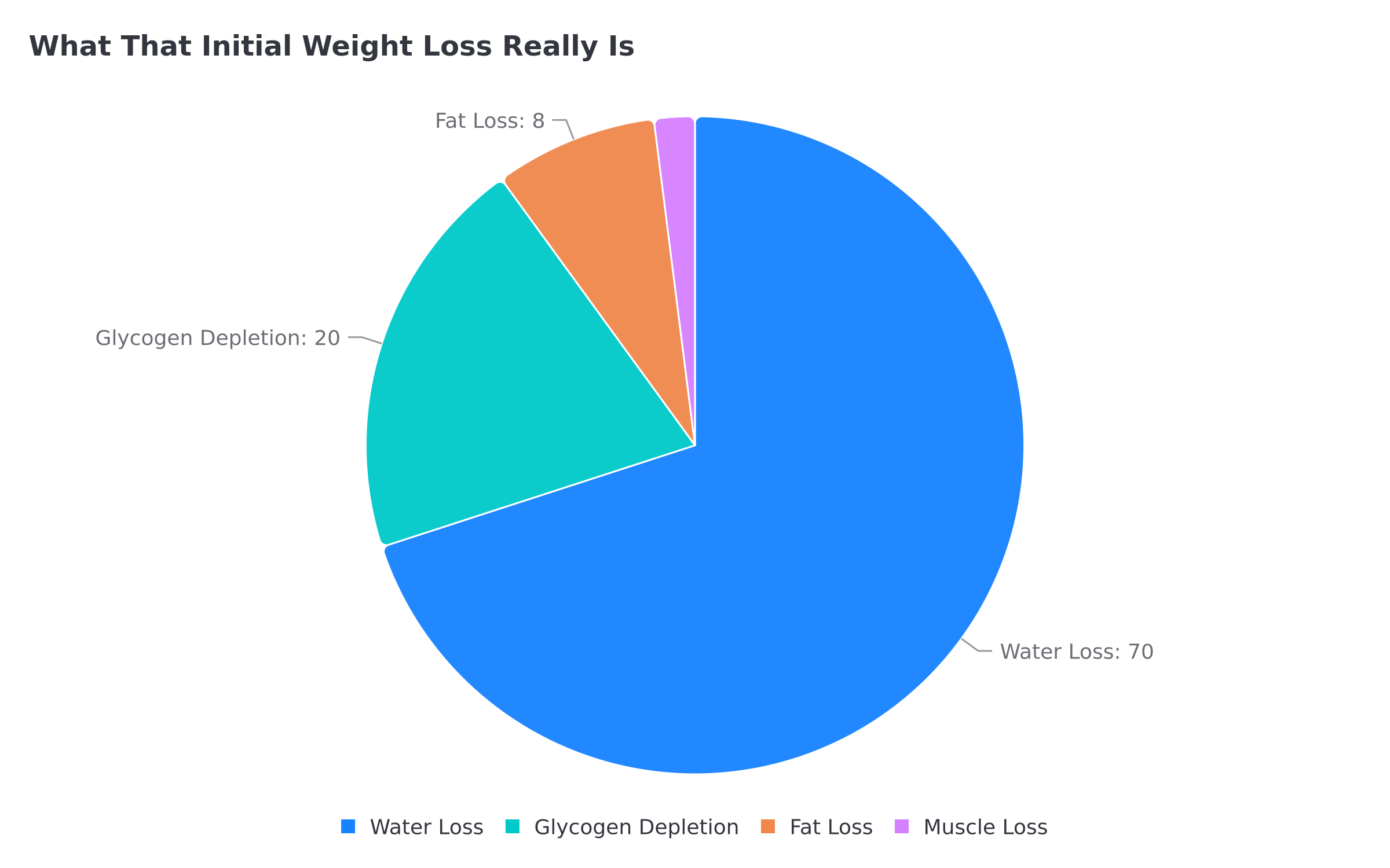 Weight loss composition breakdown showing 70% water vs fat when using protein powder for fitness goals