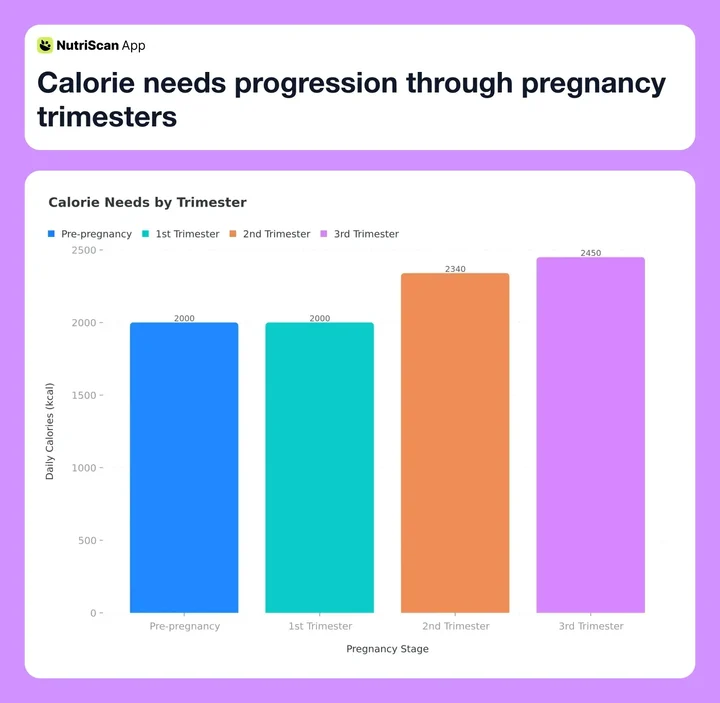 Calorie needs progression through pregnancy trimesters