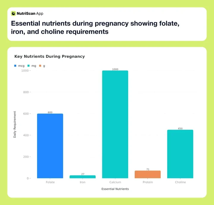 Essential nutrients during pregnancy showing folate, iron, and choline requirements