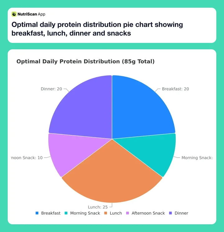 Optimal daily protein distribution pie chart showing breakfast, lunch, dinner and snacks