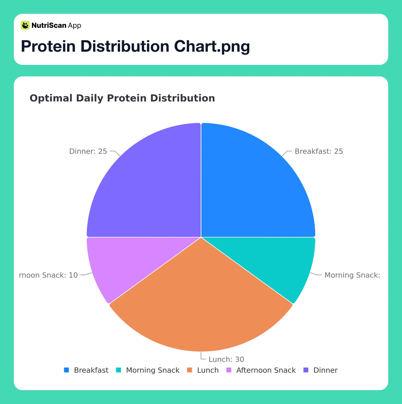 Optimal daily protein distribution pie chart