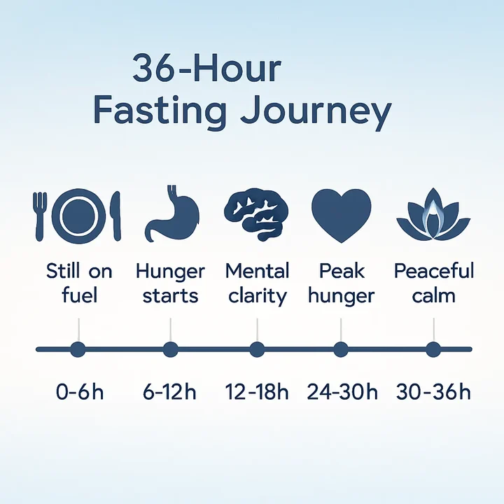 36-Hour Fasting Timeline showing the progression from initial fuel to peaceful calm
