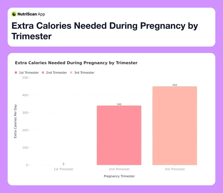 Extra Calories Needed During Pregnancy by Trimester