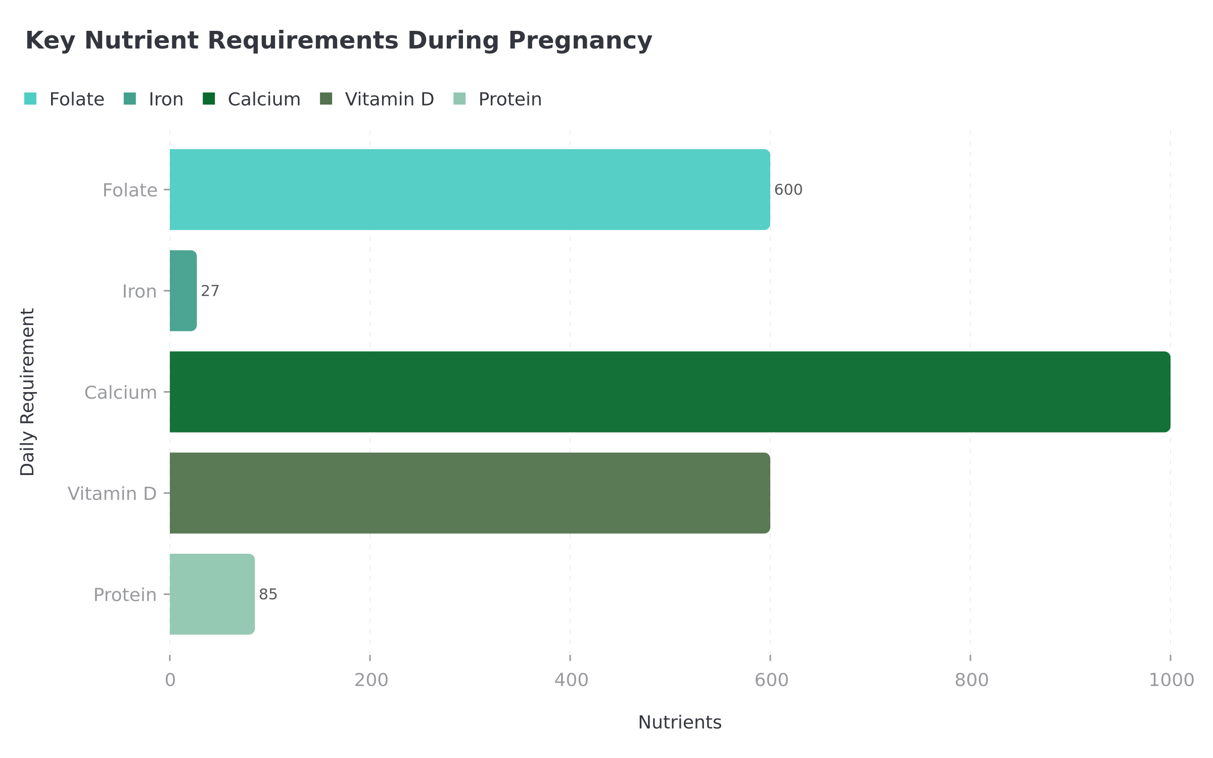 Key Nutrient Requirements During Pregnancy