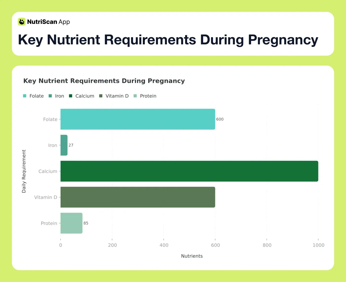 Key Nutrient Requirements During Pregnancy