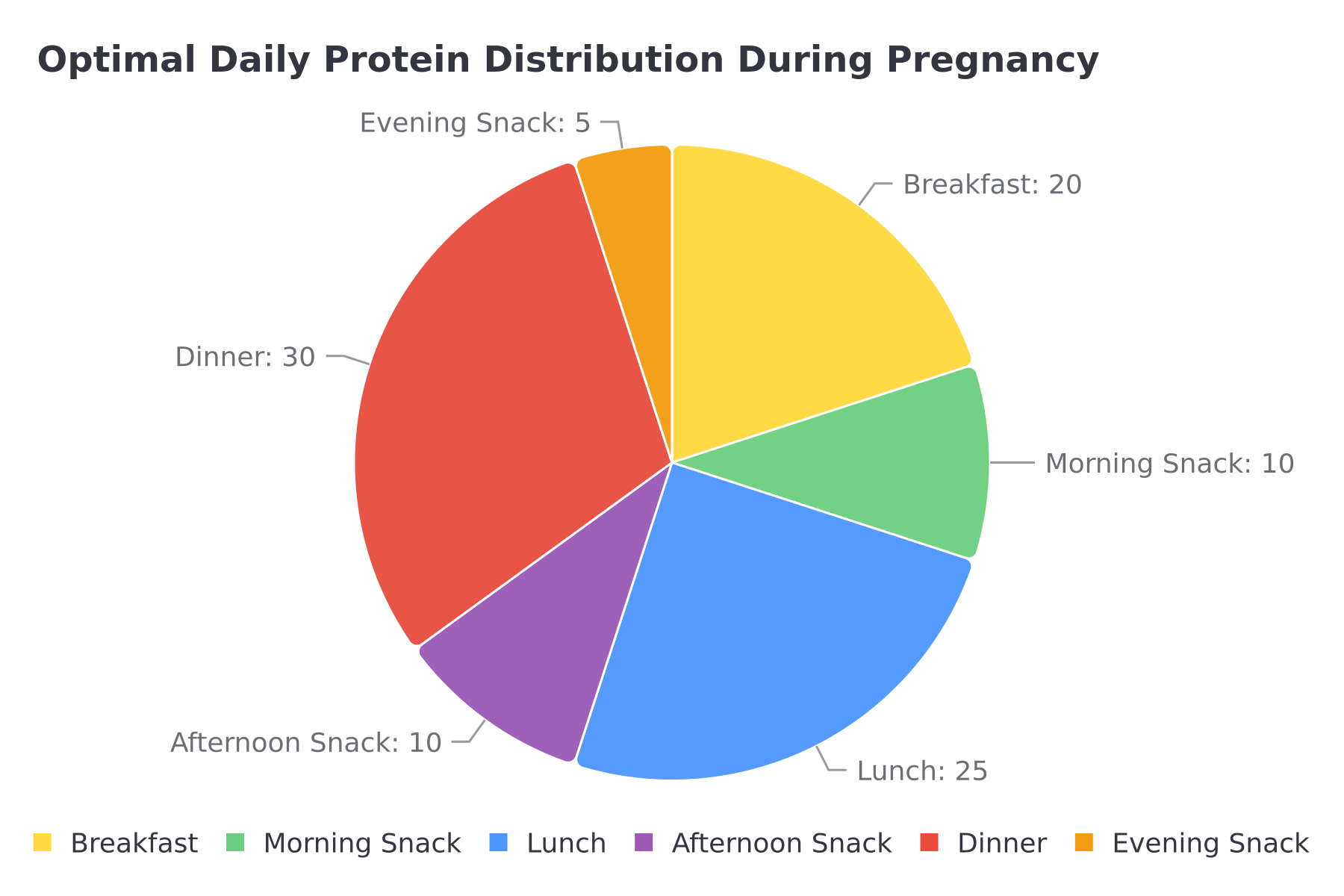 Optimal Daily Protein Distribution During Pregnancy