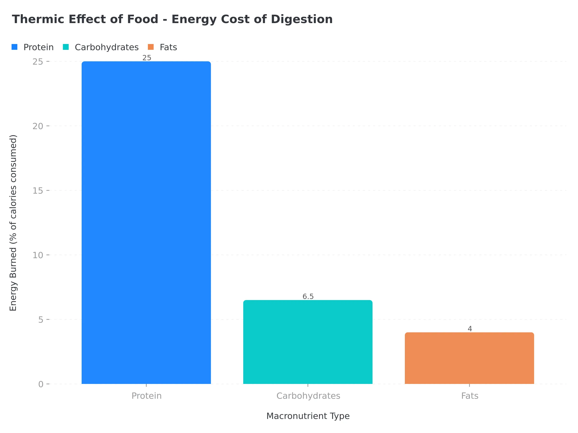 Thermic effect comparison showing protein burns 25% of calories during digestion vs carbohydrates at 6.5% and fats at 4%