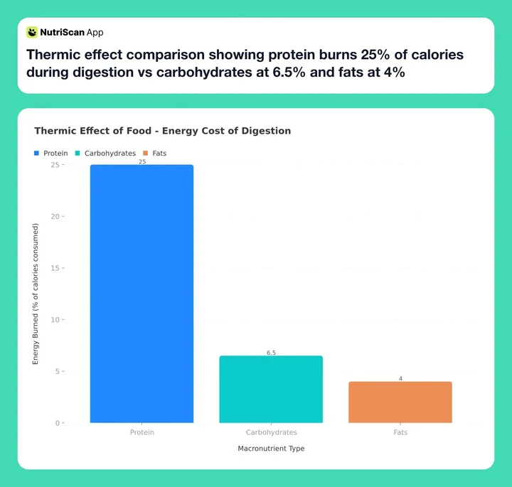 Thermic effect comparison showing protein burns 25% of calories during digestion vs carbohydrates at 6.5% and fats at 4%