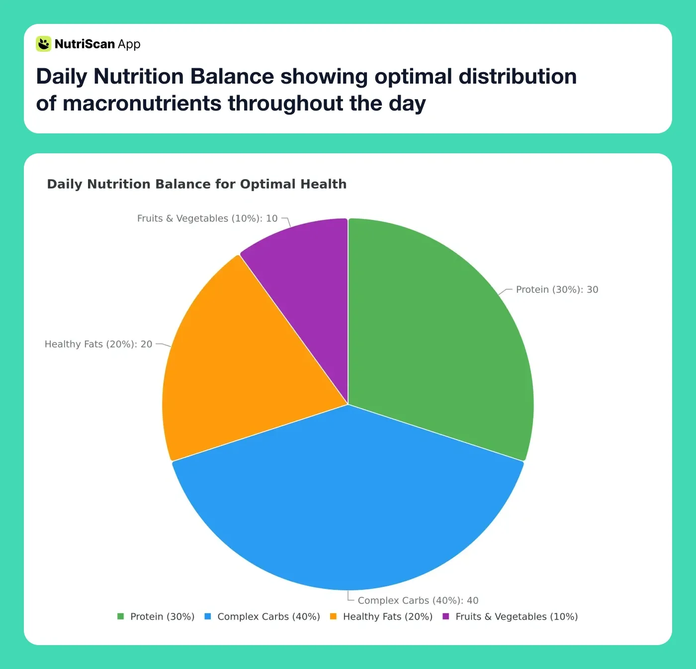 Daily Nutrition Balance showing optimal distribution of macronutrients throughout the day